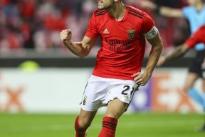 关于赛前本菲卡备战荷甲，战术微调细节曝光，更衣室稳定，医务组通报恢复的信息