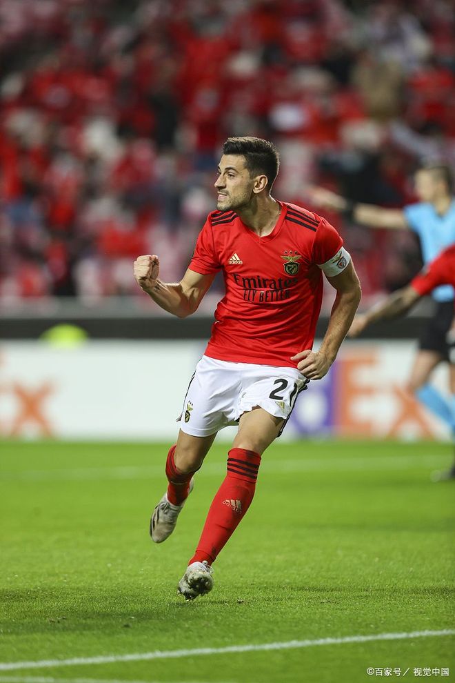 关于赛前本菲卡备战荷甲，战术微调细节曝光，更衣室稳定，医务组通报恢复的信息